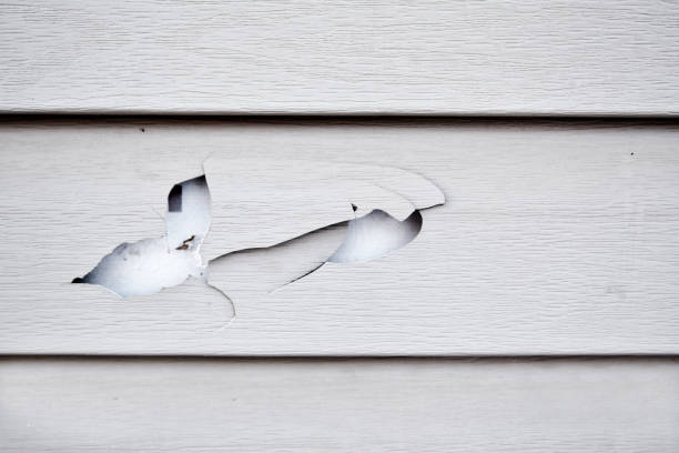 Best Custom Trim and Detailing for Siding  in Norwood, PA